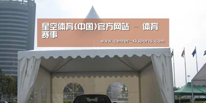 案例标题八