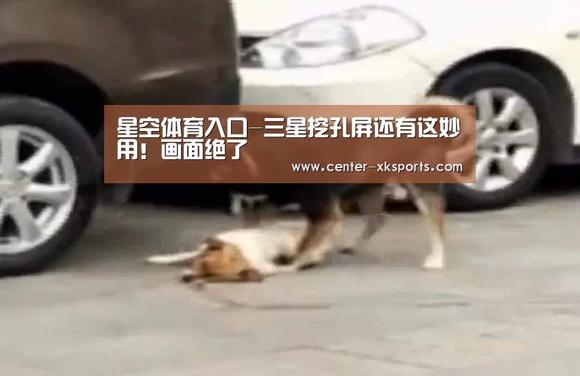 星空体育官网