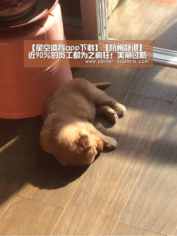 星空体育app下载