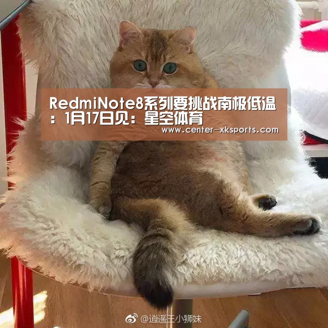 星空体育官网